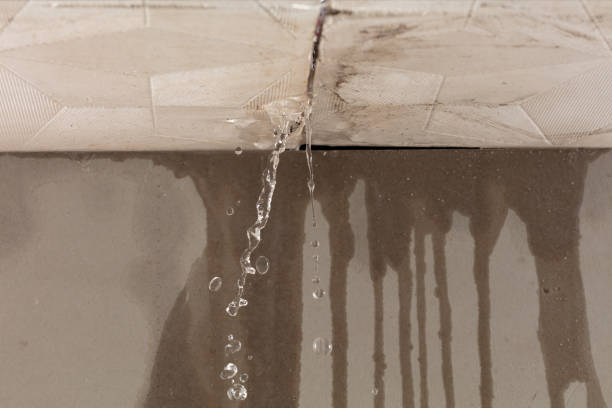 Professional Structural Drying technician working in Henagar, AL